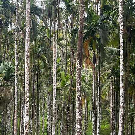 Max Farms Villa Shimoga Luaran gambar
